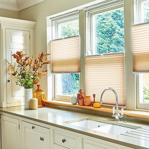Pleated Blinds